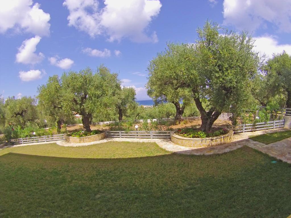 Pouliezos Koklanis Zante Apartments أليكيس المظهر الخارجي الصورة