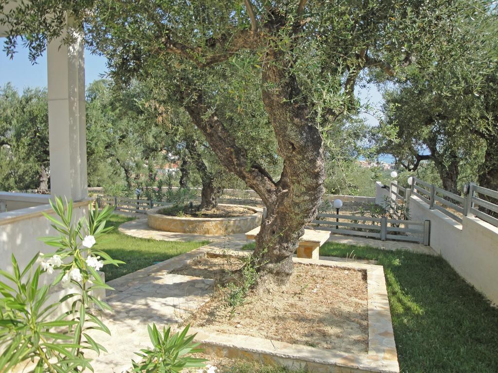 Pouliezos Koklanis Zante Apartments أليكيس المظهر الخارجي الصورة
