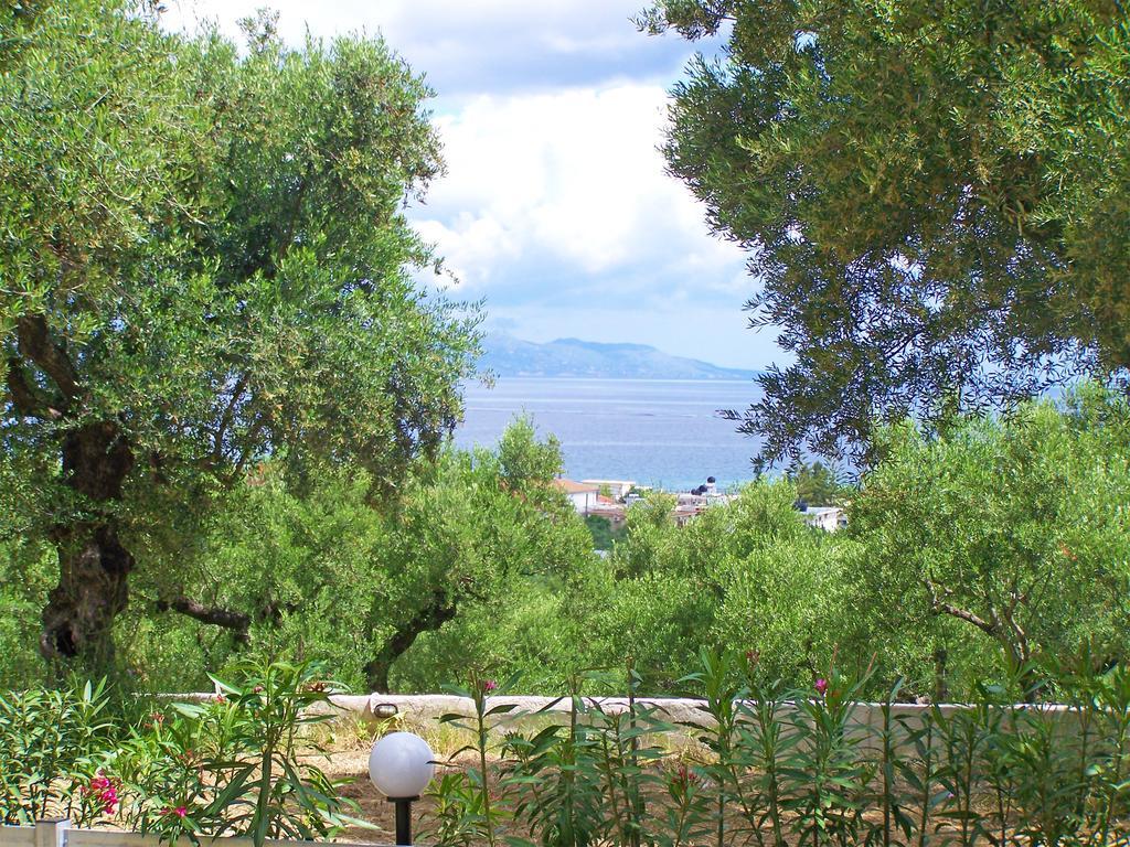 Pouliezos Koklanis Zante Apartments أليكيس المظهر الخارجي الصورة
